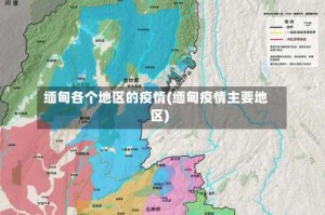 缅甸各个地区的疫情(缅甸疫情主要地区)