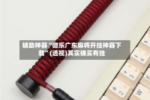 辅助神器“微乐广东麻将开挂神器下载”(透视)其实确实有挂