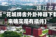 实测分析“花城牌舍外卦神器下载”(原来确实是有插件)