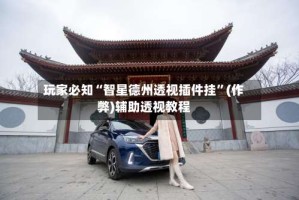 玩家必知“智星德州透视插件挂”(作弊)辅助透视教程