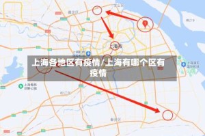 上海各地区有疫情/上海有哪个区有疫情