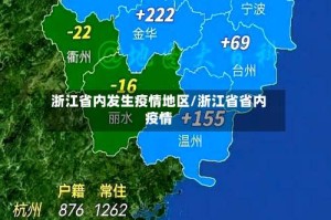 浙江省内发生疫情地区/浙江省省内疫情