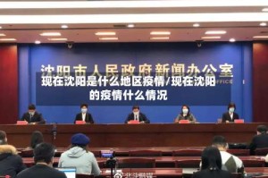 现在沈阳是什么地区疫情/现在沈阳的疫情什么情况