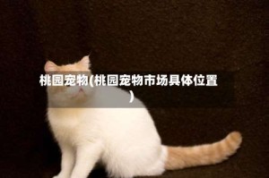 桃园宠物(桃园宠物市场具体位置)