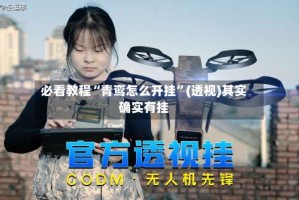 必看教程“青鸾怎么开挂”(透视)其实确实有挂