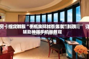 指定教程“手机金花挂在哪买”科技辅助神器手机版教程