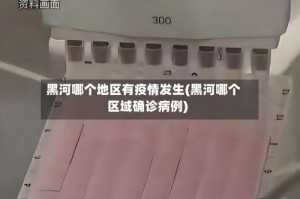 黑河哪个地区有疫情发生(黑河哪个区域确诊病例)