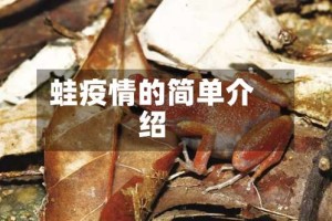 蛙疫情的简单介绍