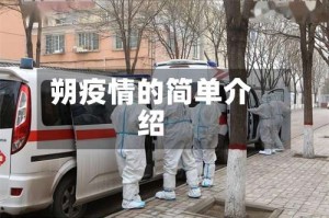 朔疫情的简单介绍