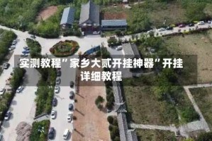 实测教程”家乡大贰开挂神器”开挂详细教程