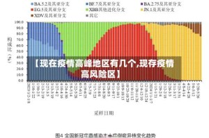 【现在疫情高峰地区有几个,现存疫情高风险区】