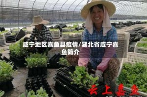 咸宁地区嘉鱼县疫情/湖北省咸宁嘉鱼简介