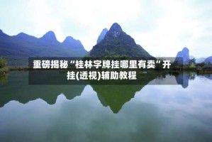重磅揭秘“桂林字牌挂哪里有卖”开挂(透视)辅助教程