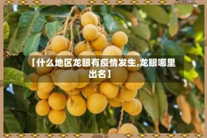【什么地区龙眼有疫情发生,龙眼哪里出名】