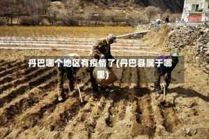 丹巴哪个地区有疫情了(丹巴县属于哪里)