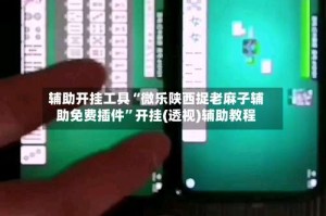 辅助开挂工具“微乐陕西捉老麻子辅助免费插件”开挂(透视)辅助教程