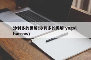 沙利多的见解(沙利多的见解 yngol barrow)