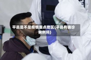 平邑是不是疫情重点地区(平邑有确诊病例吗)