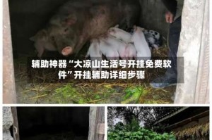 辅助神器“大凉山生活号开挂免费软件”开挂辅助详细步骤