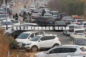 驱车怎么避开疫情地区呢/驱赶车辆