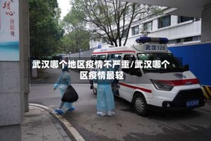 武汉哪个地区疫情不严重/武汉哪个区疫情最轻