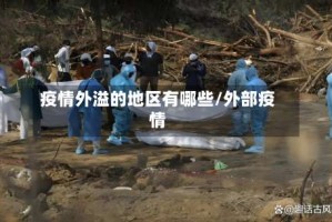 疫情外溢的地区有哪些/外部疫情