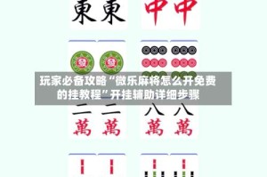 玩家必备攻略“微乐麻将怎么开免费的挂教程”开挂辅助详细步骤