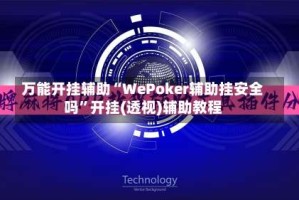万能开挂辅助“WePoker辅助挂安全吗”开挂(透视)辅助教程