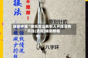 辅助神器“微乐怎么看别人开挂没有”开挂(透视)辅助教程