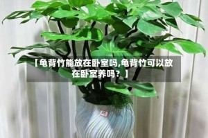 【龟背竹能放在卧室吗,龟背竹可以放在卧室养吗？】