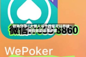 软件分享“大懒人斗十四是可以开挂”开挂辅助详细步骤