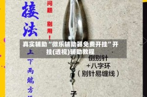 真实辅助“微乐辅助器免费开挂”开挂(透视)辅助教程