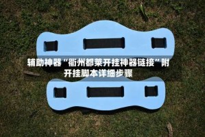 辅助神器“衢州都莱开挂神器链接”附开挂脚本详细步骤