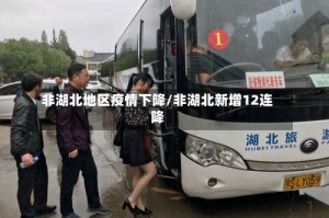 非湖北地区疫情下降/非湖北新增12连降