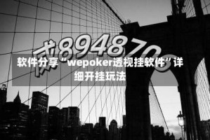 软件分享“wepoker透视挂软件”详细开挂玩法