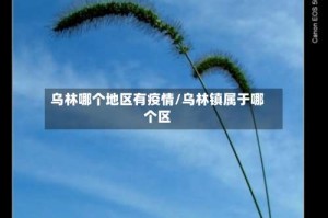 乌林哪个地区有疫情/乌林镇属于哪个区