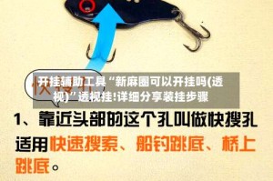 开挂辅助工具“新麻圈可以开挂吗(透视)”透视挂!详细分享装挂步骤