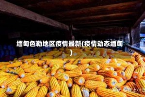 缅甸色勒地区疫情最新(疫情动态缅甸)
