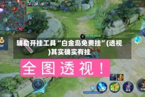 辅助开挂工具“白金岛免费挂”(透视)其实确实有挂