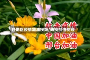 各地区疫情加油视频/防疫加油视频