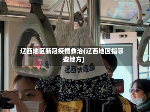 辽西地区新冠疫情救治(辽西地区指哪些地方)-第3张图片