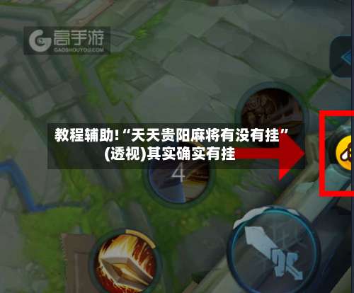 教程辅助!“天天贵阳麻将有没有挂”(透视)其实确实有挂-第2张图片