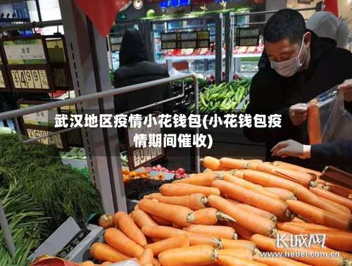 武汉地区疫情小花钱包(小花钱包疫情期间催收)-第2张图片