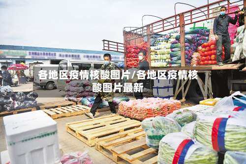 各地区疫情核酸图片/各地区疫情核酸图片最新-第1张图片