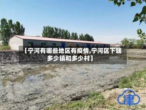 【宁河有哪些地区有疫情,宁河区下辖多少镇和多少村】-第2张图片