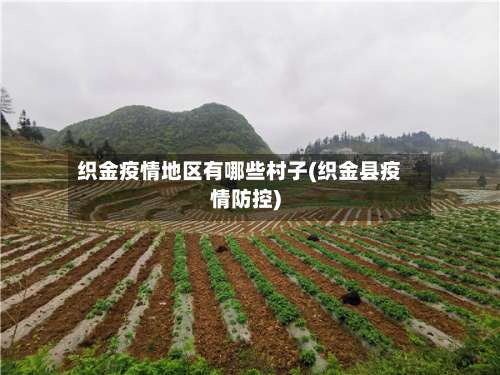 织金疫情地区有哪些村子(织金县疫情防控)-第3张图片