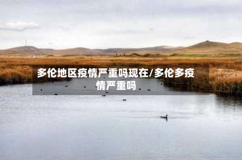 多伦地区疫情严重吗现在/多伦多疫情严重吗-第1张图片