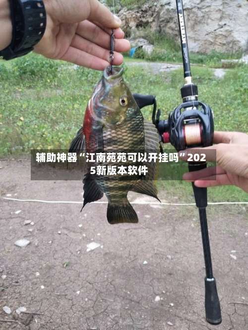 辅助神器“江南苑苑可以开挂吗”2025新版本软件-第3张图片