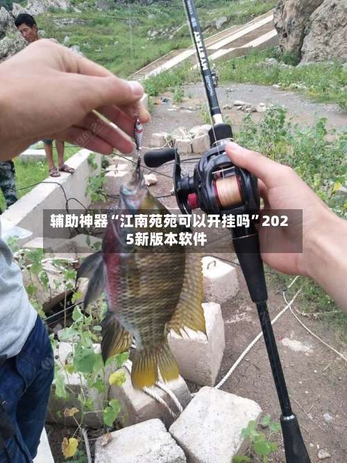 辅助神器“江南苑苑可以开挂吗”2025新版本软件-第1张图片