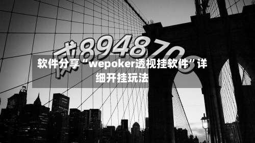 软件分享“wepoker透视挂软件”详细开挂玩法-第1张图片